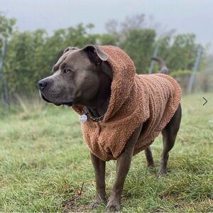 Spark Paws Teddy Sherpa Fleece Dog Jacket